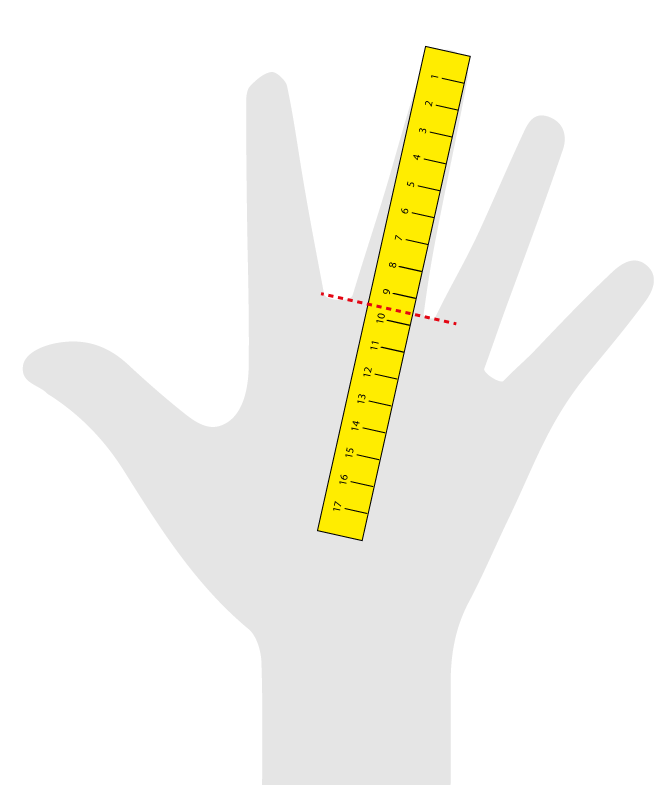 Metodo per la misurazione della propria taglia di guanto